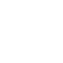 Custom icon 1